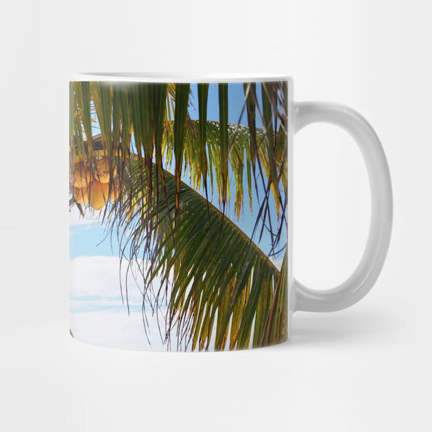 Tropical Palm Trees by NewburyBoutique